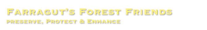 Farragut’s Forest Friends
preserve, Protect & Enhance